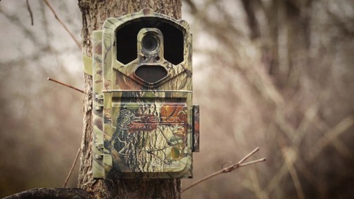 Big Game Eyecon Black Widow Invisi-Flash Infrared Trail / Game Camera 5MP - image 10 from the video